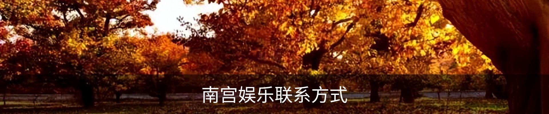 南宫娱乐联系方式